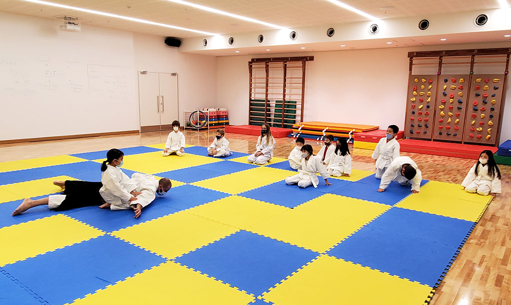 aikido stmaur 05