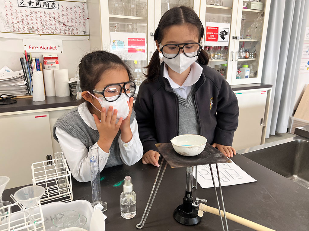 Grade 4 Crystal Making in the Chemistry Lab