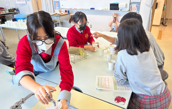 High School and Middle School Scientists Dive into Exciting Research Projects at Saint Maur's Science Center
