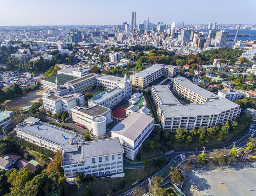 Saint Maur International School campus viewed by a drone